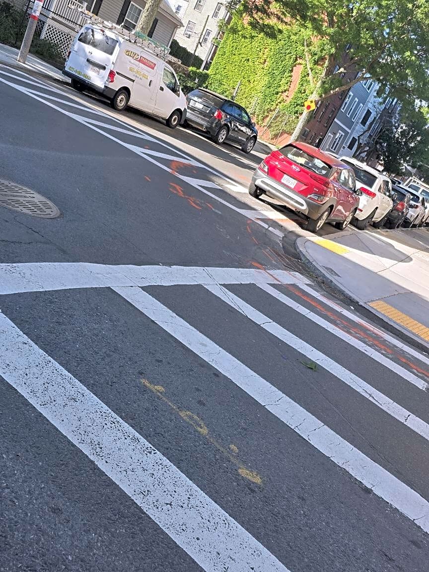 Image submitted with report