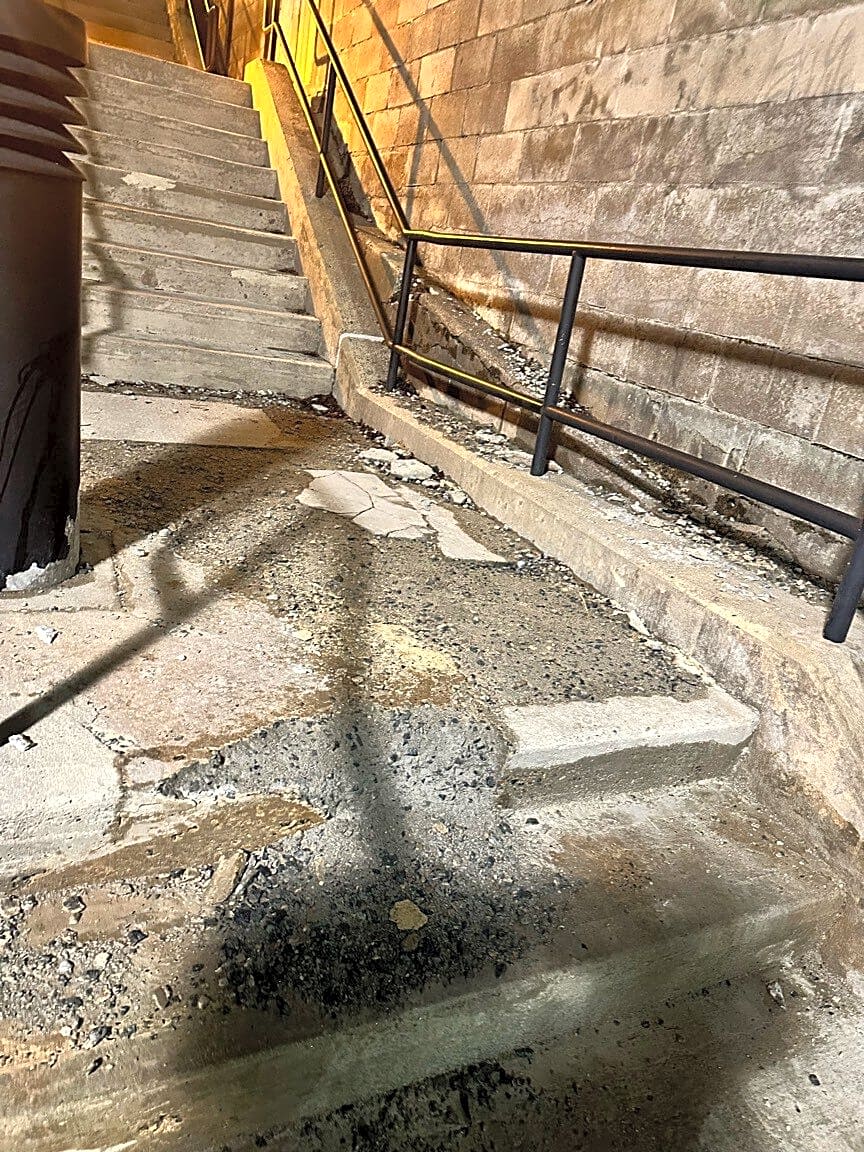 Image submitted with report