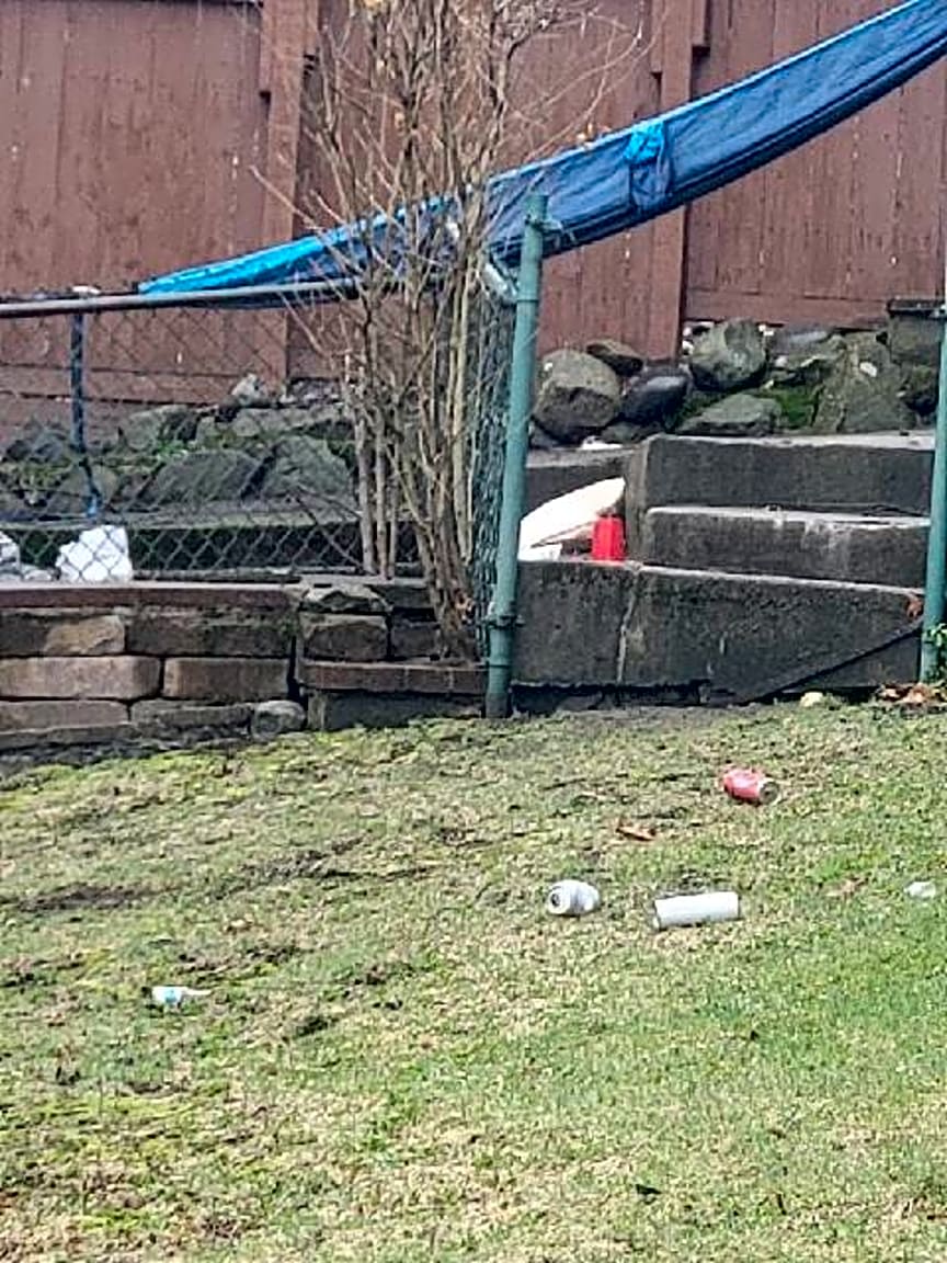 Image submitted with report