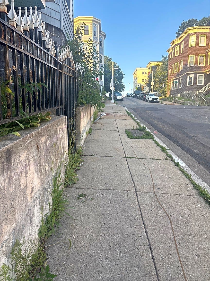 Image submitted with report