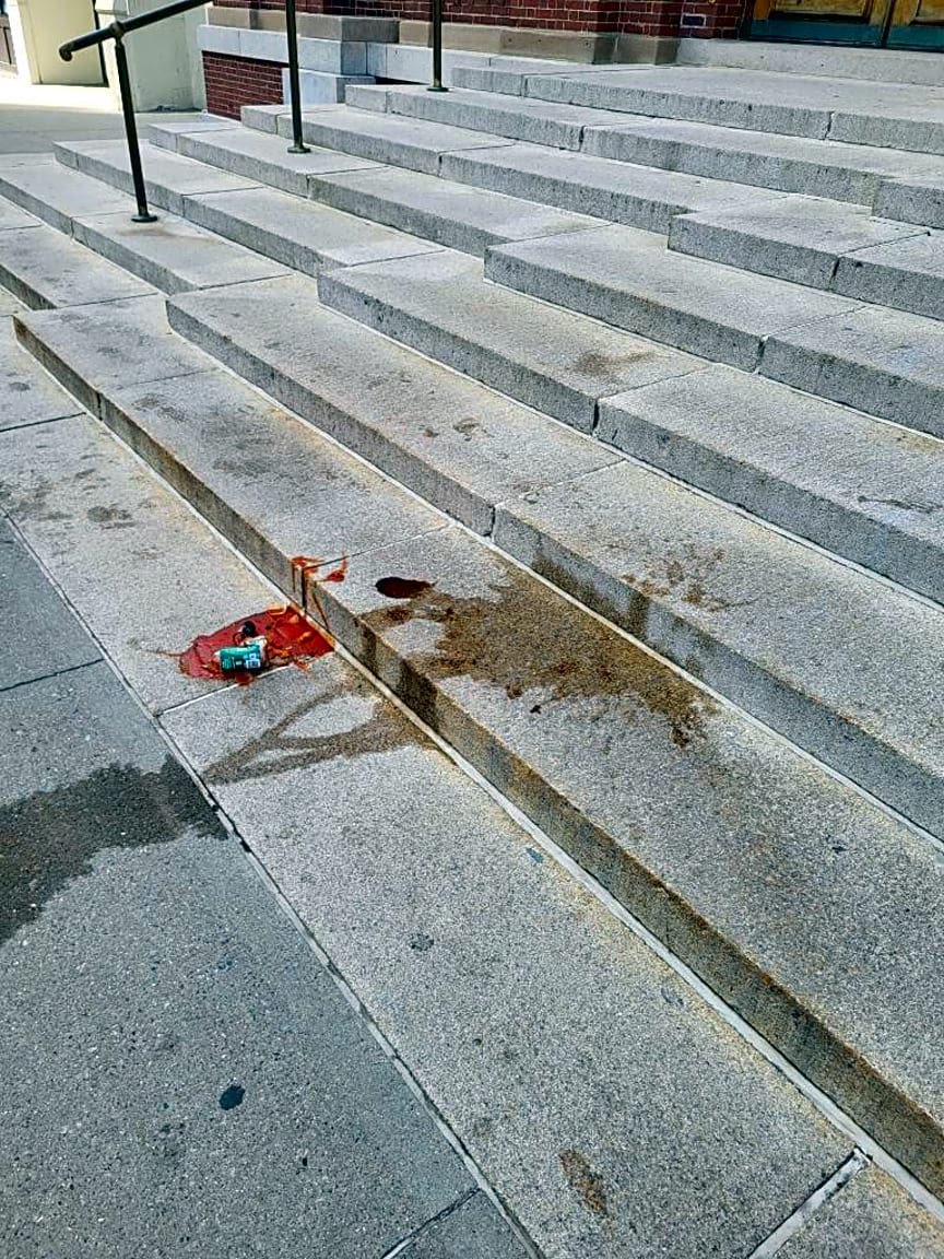 Image submitted with report