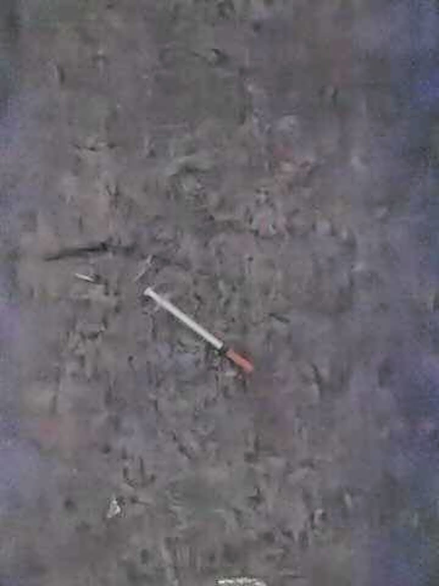 Image submitted with report