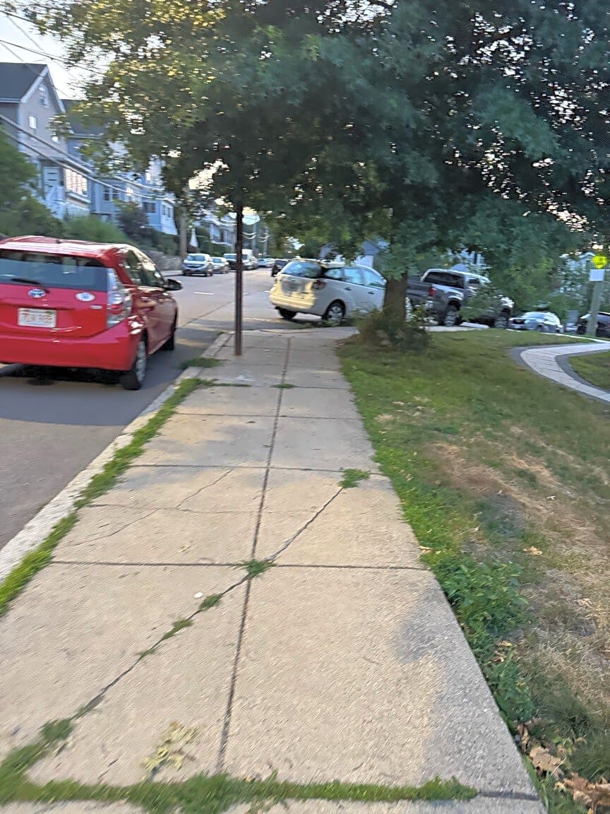 Image submitted with report
