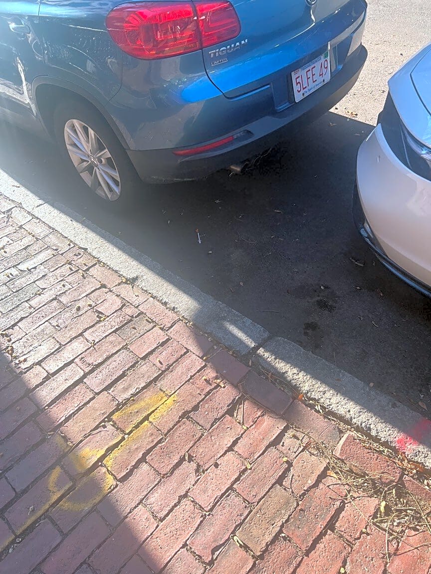 Image submitted with report