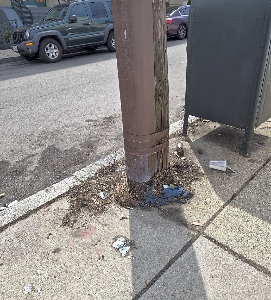 Image submitted with report