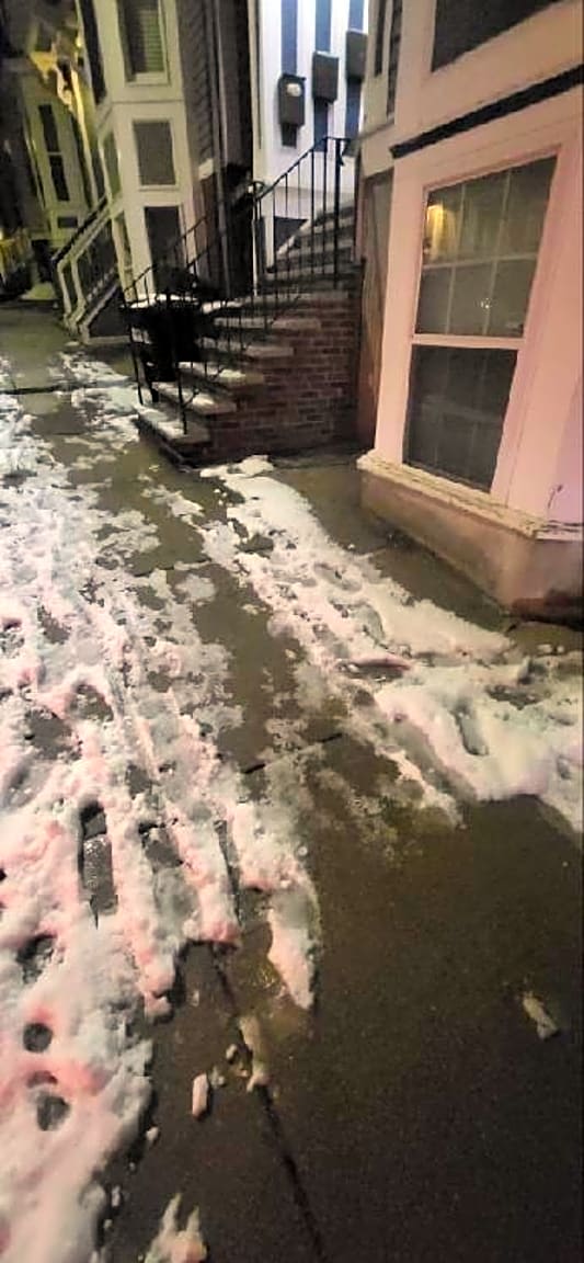 Image submitted with report