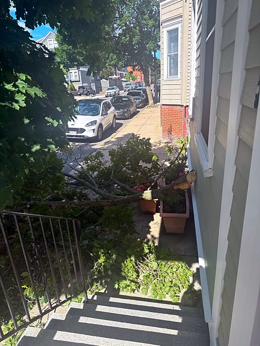 Image submitted with report