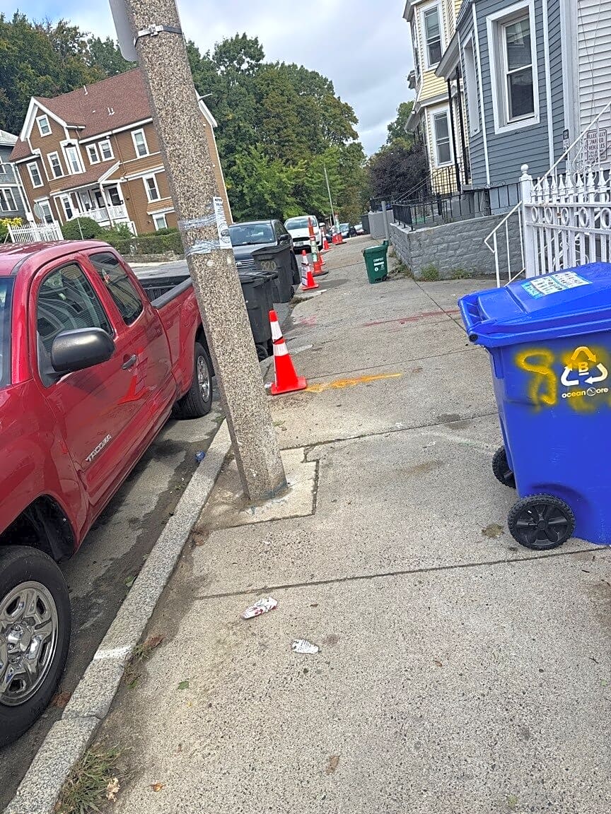 Image submitted with report
