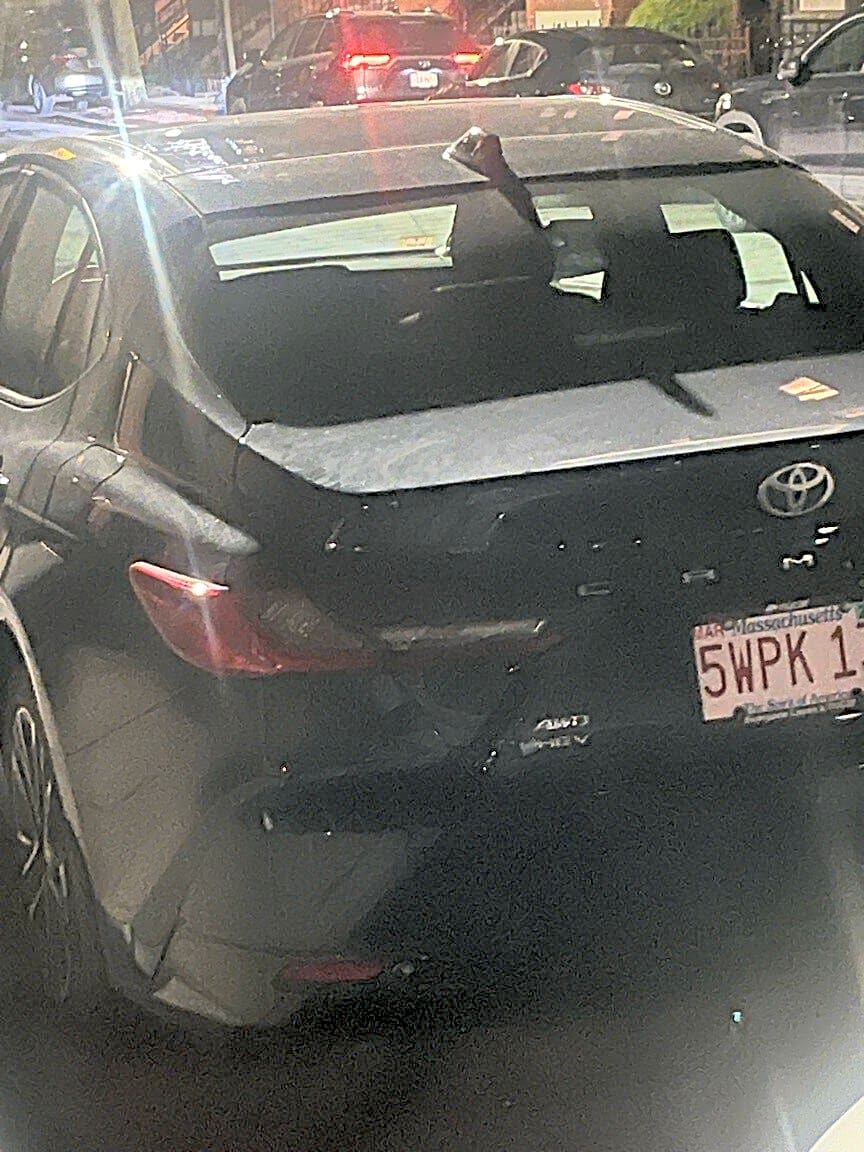 Image submitted with report