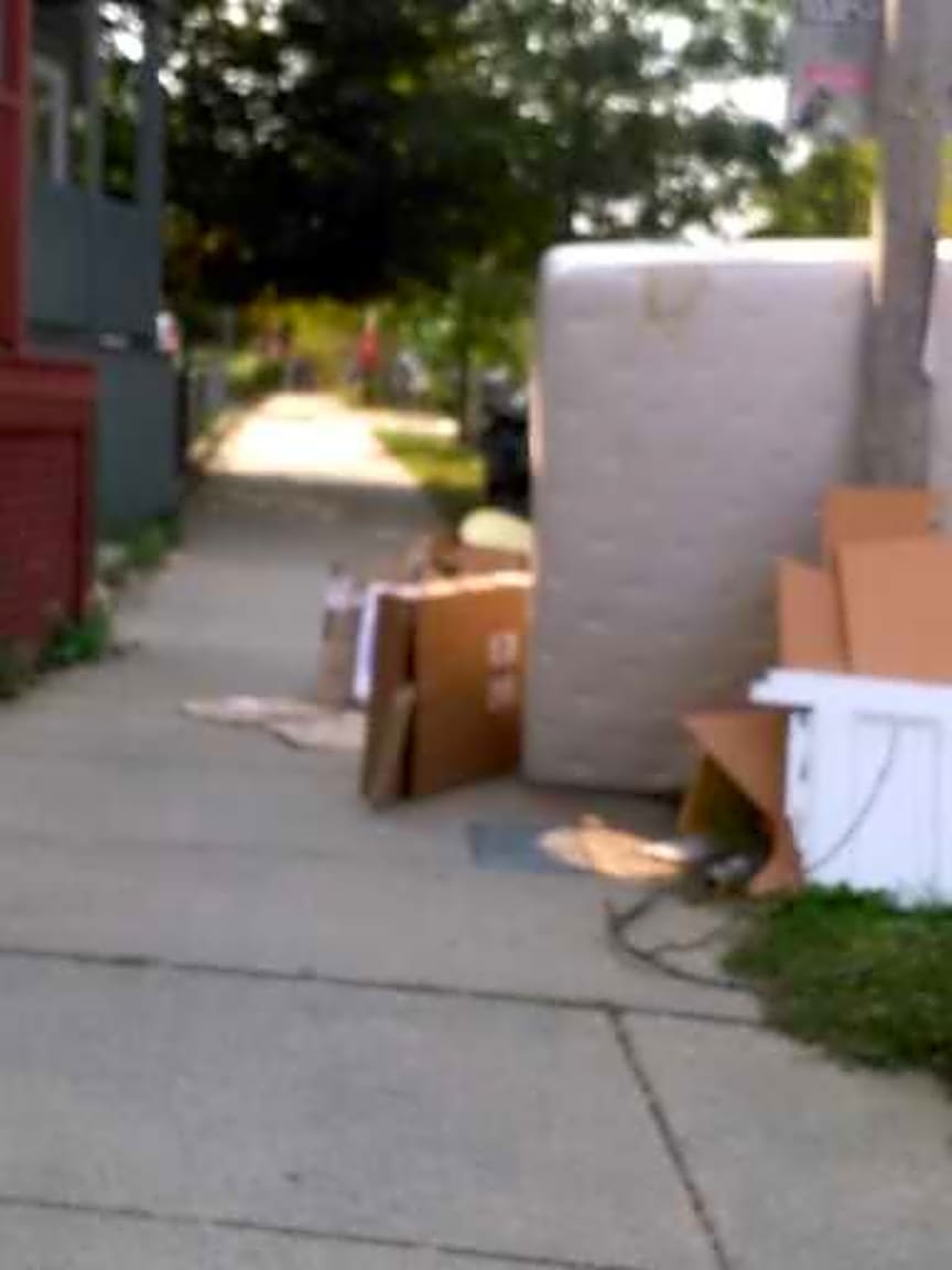 Image submitted with report