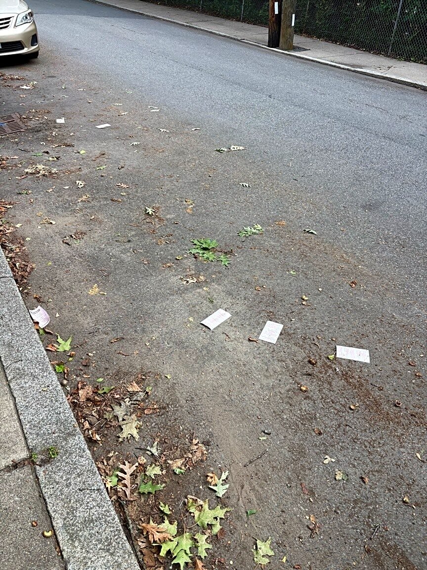 Image submitted with report