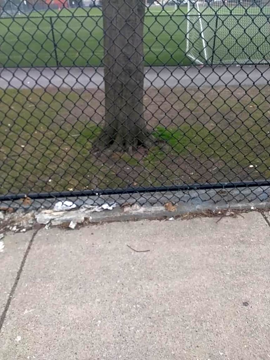 Image submitted with report