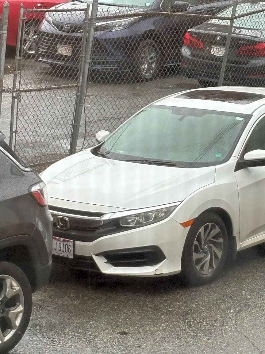 Image submitted with report