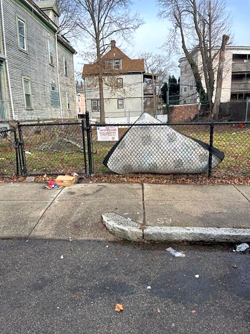 Image submitted with report