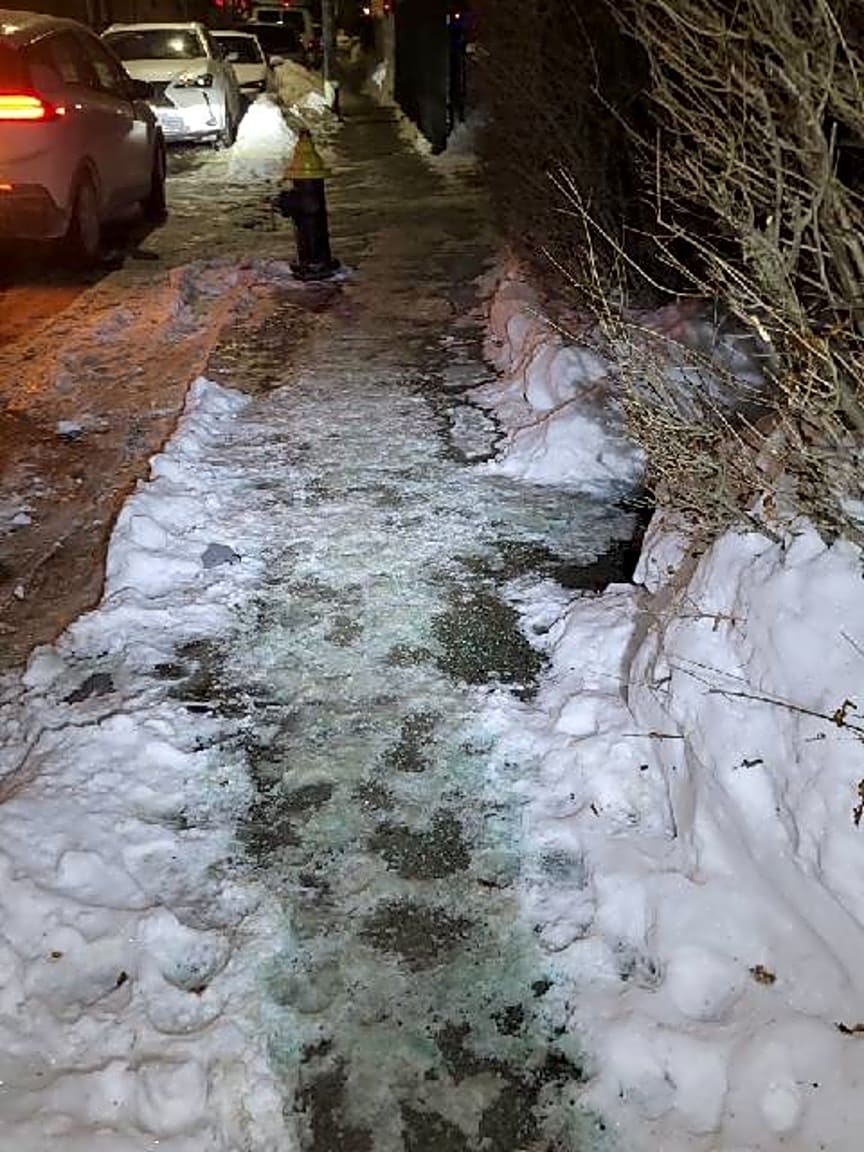 Image submitted with report