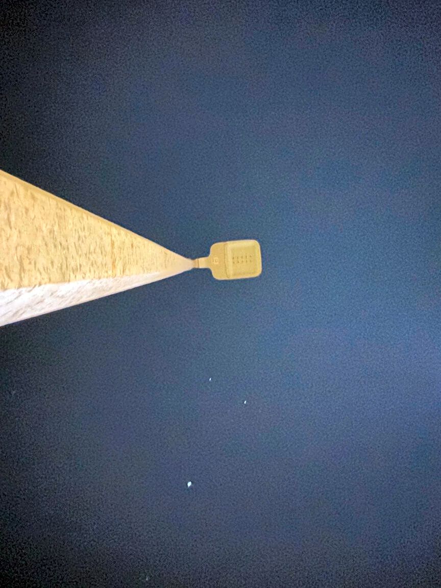 Image submitted with report