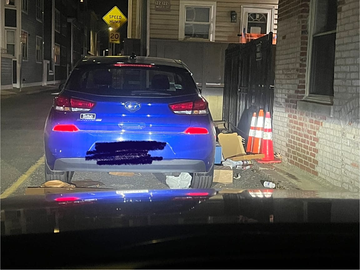 Image submitted with report