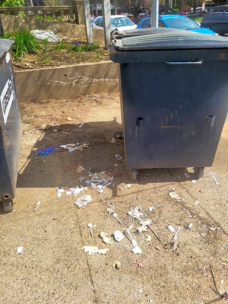 Image submitted with report