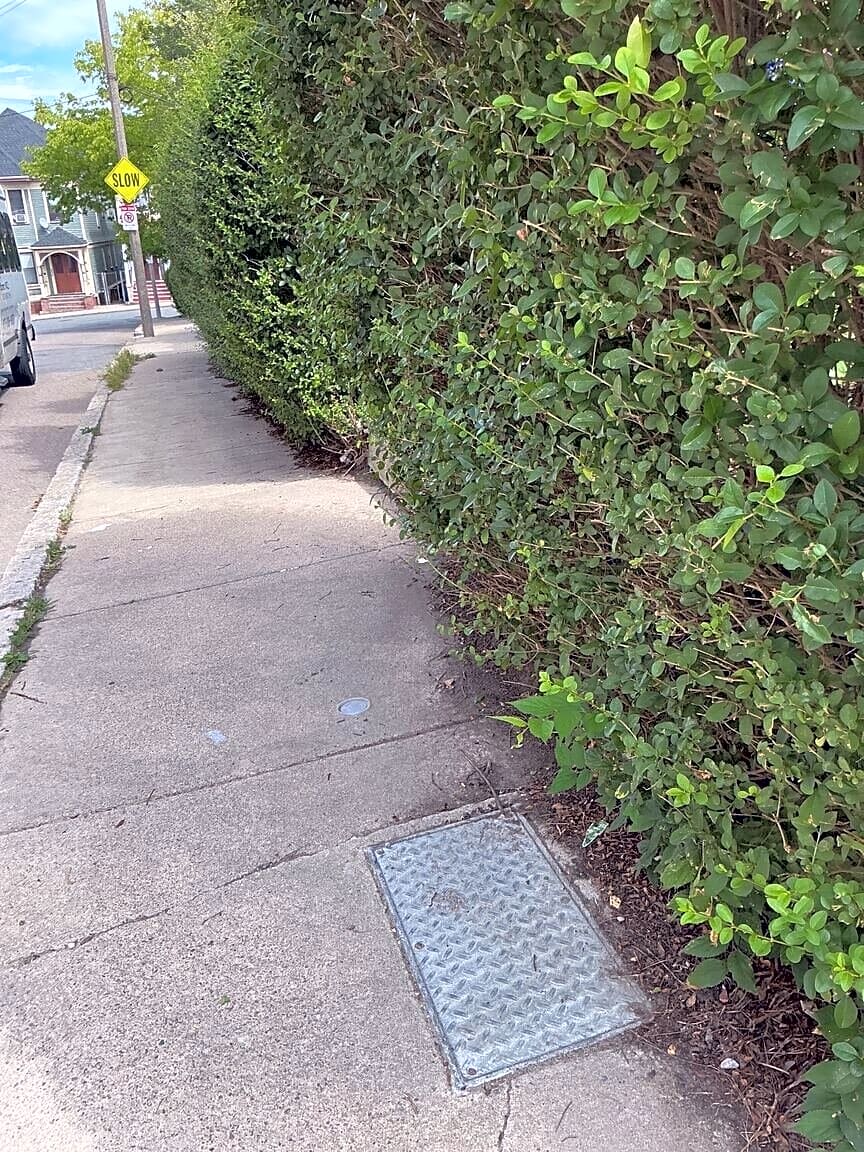 Image submitted with report
