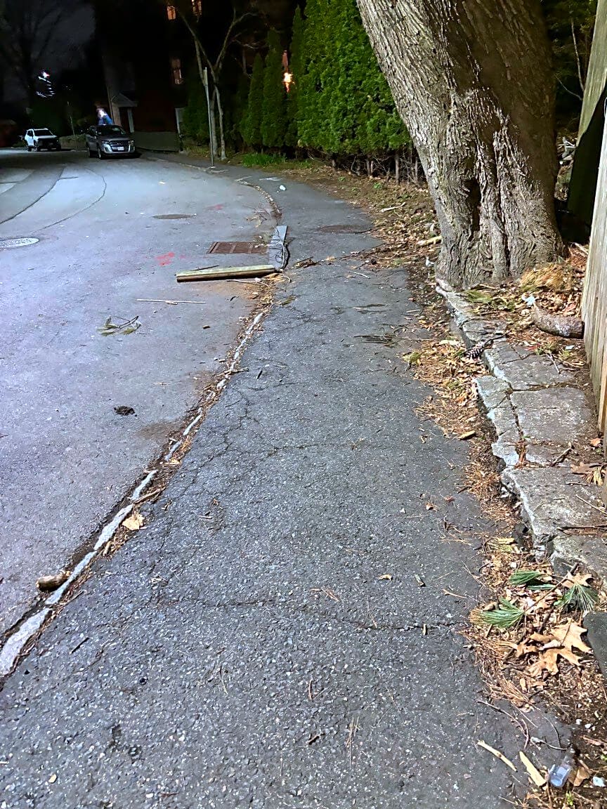 Image submitted with report