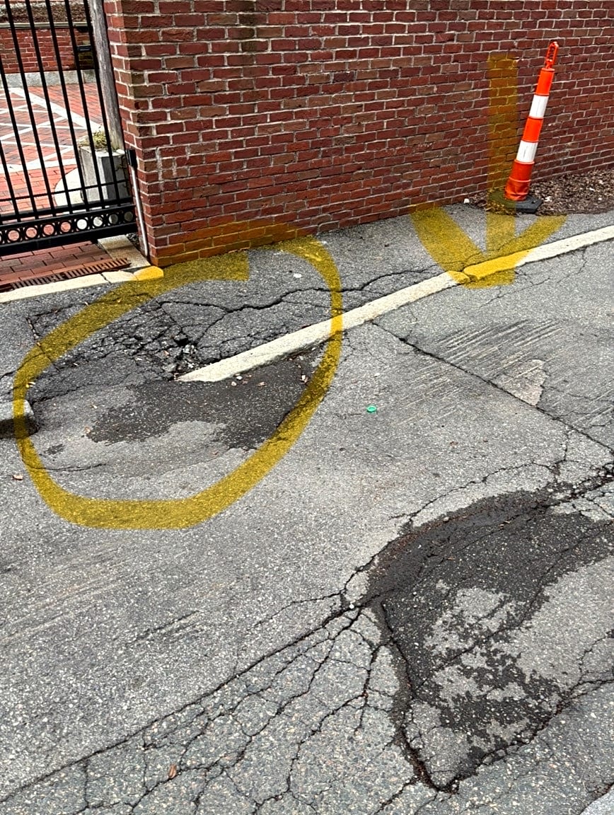 Image submitted with report