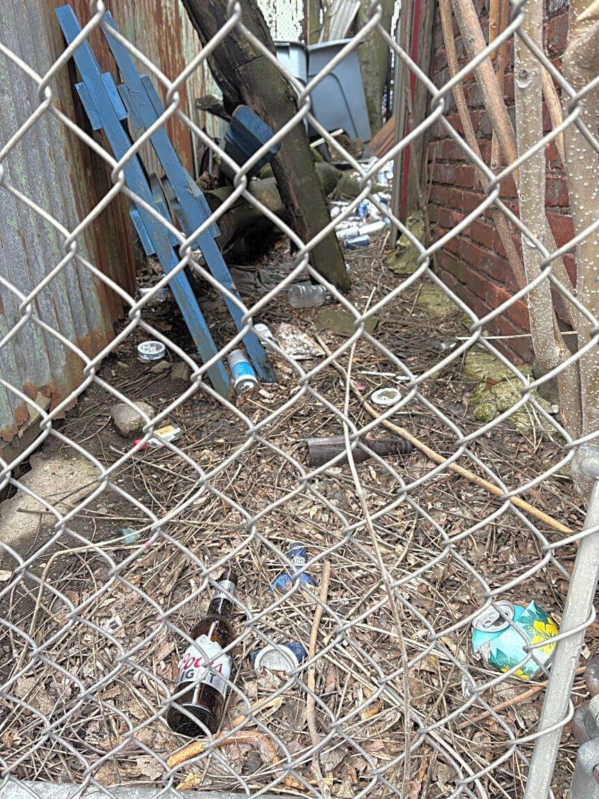 Image submitted with report