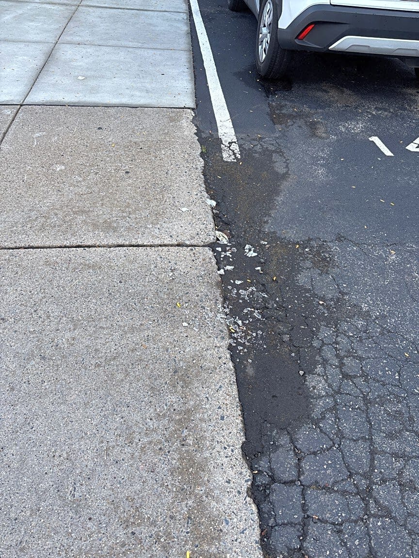 Image submitted with report