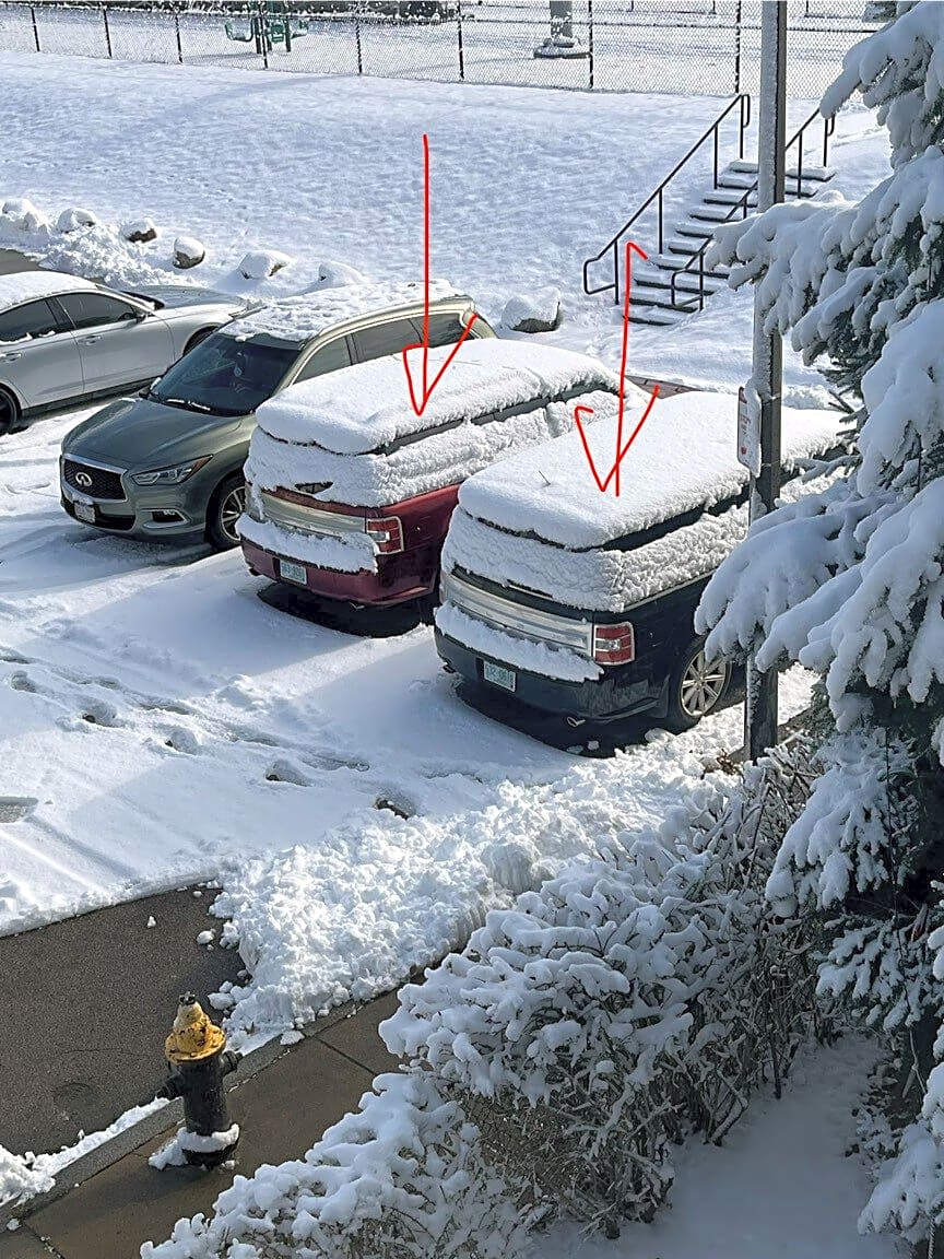 Image submitted with report