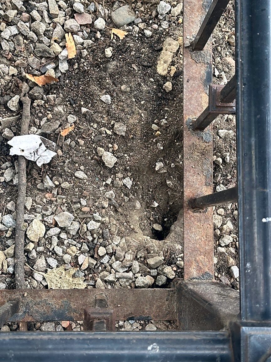 Image submitted with report