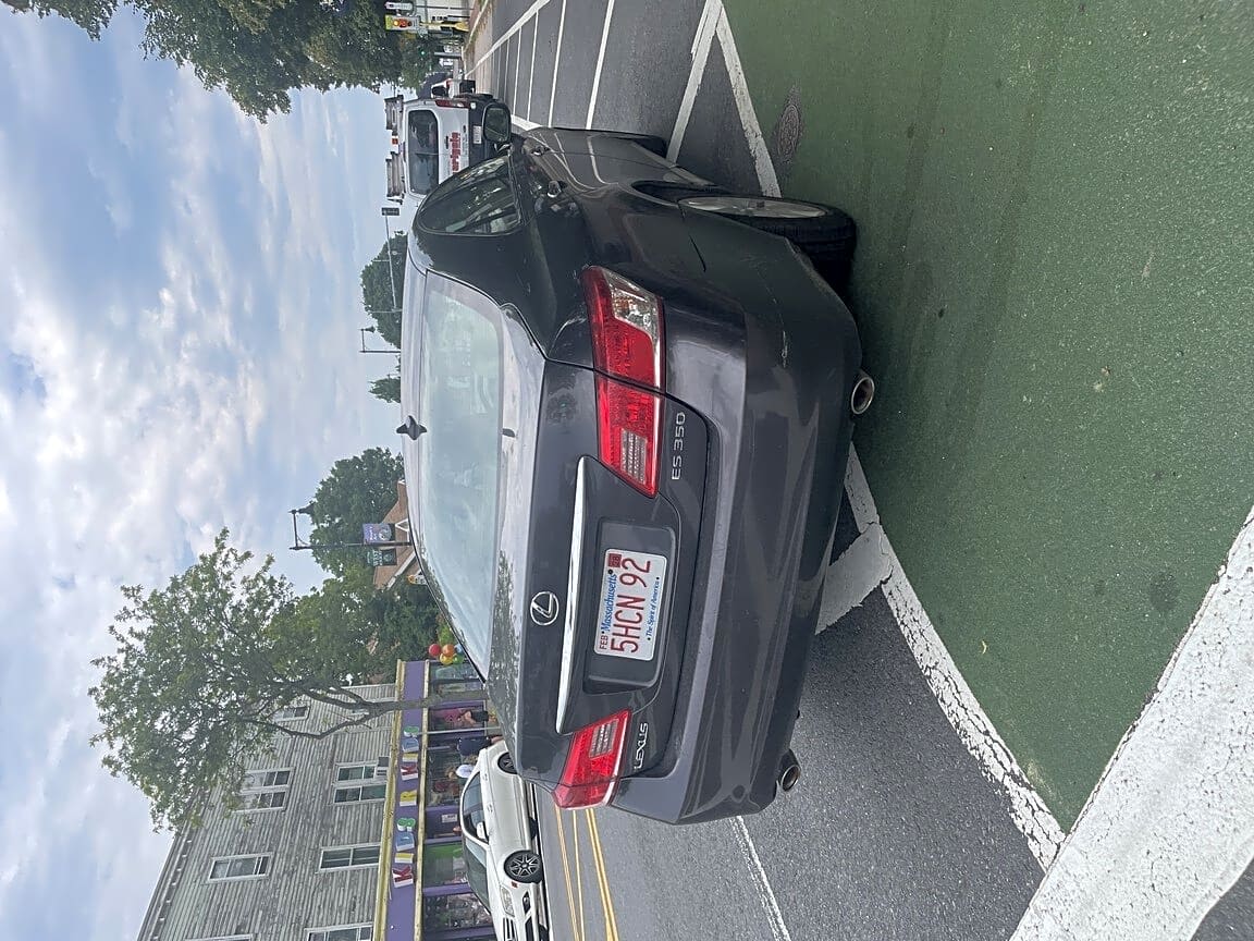 Image submitted with report