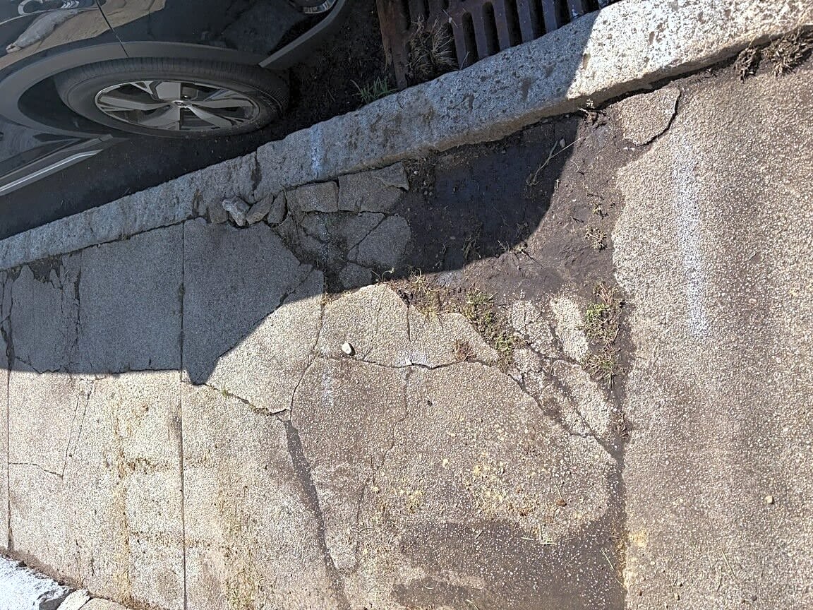 Image submitted with report