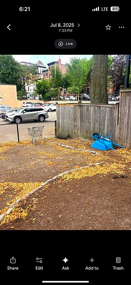 Image submitted with report