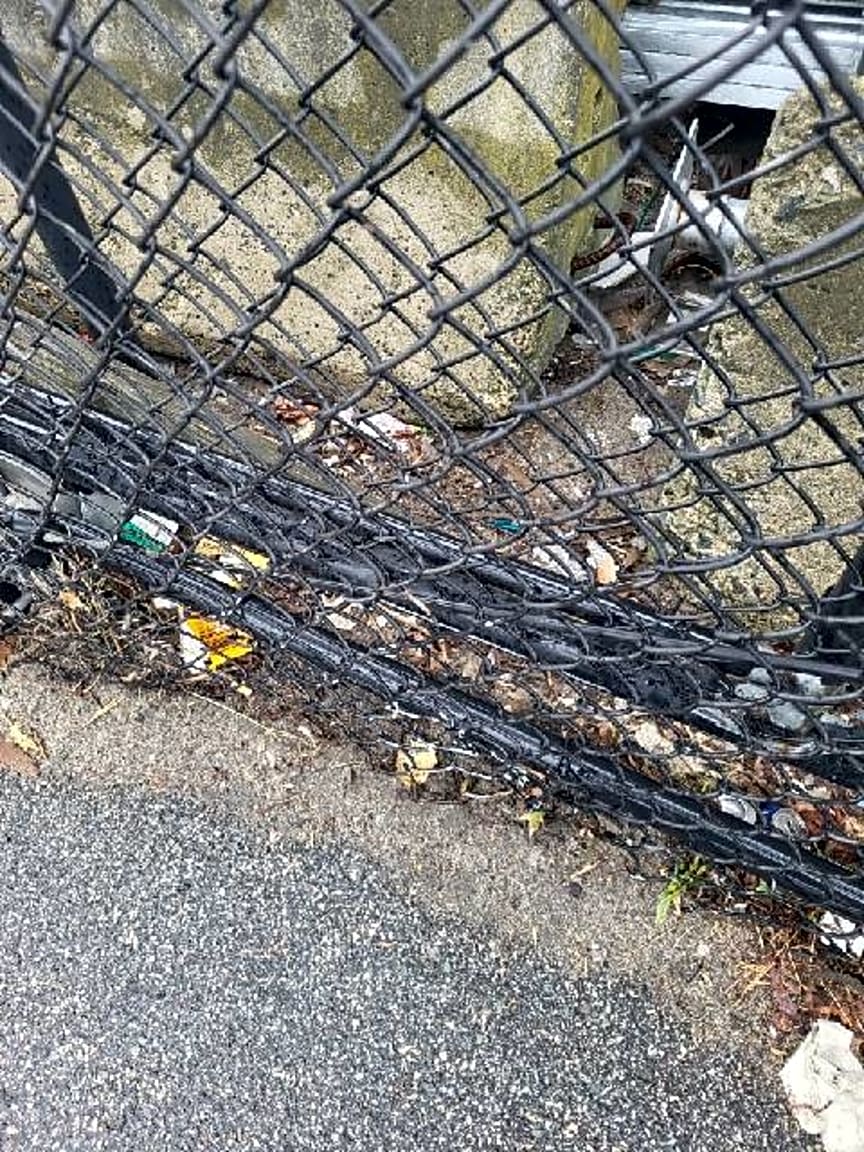 Image submitted with report