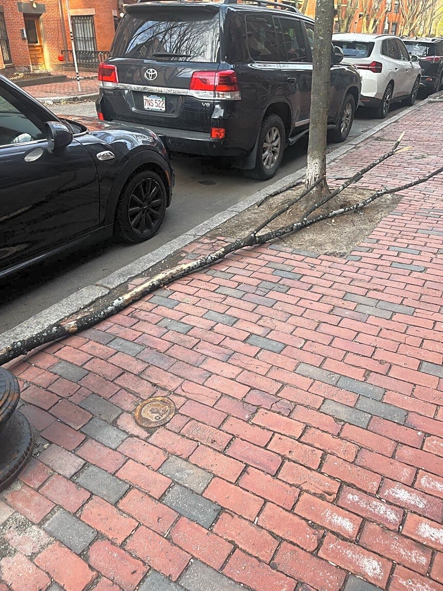 Image submitted with report