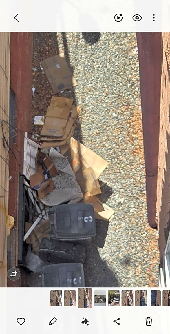 Image submitted with report