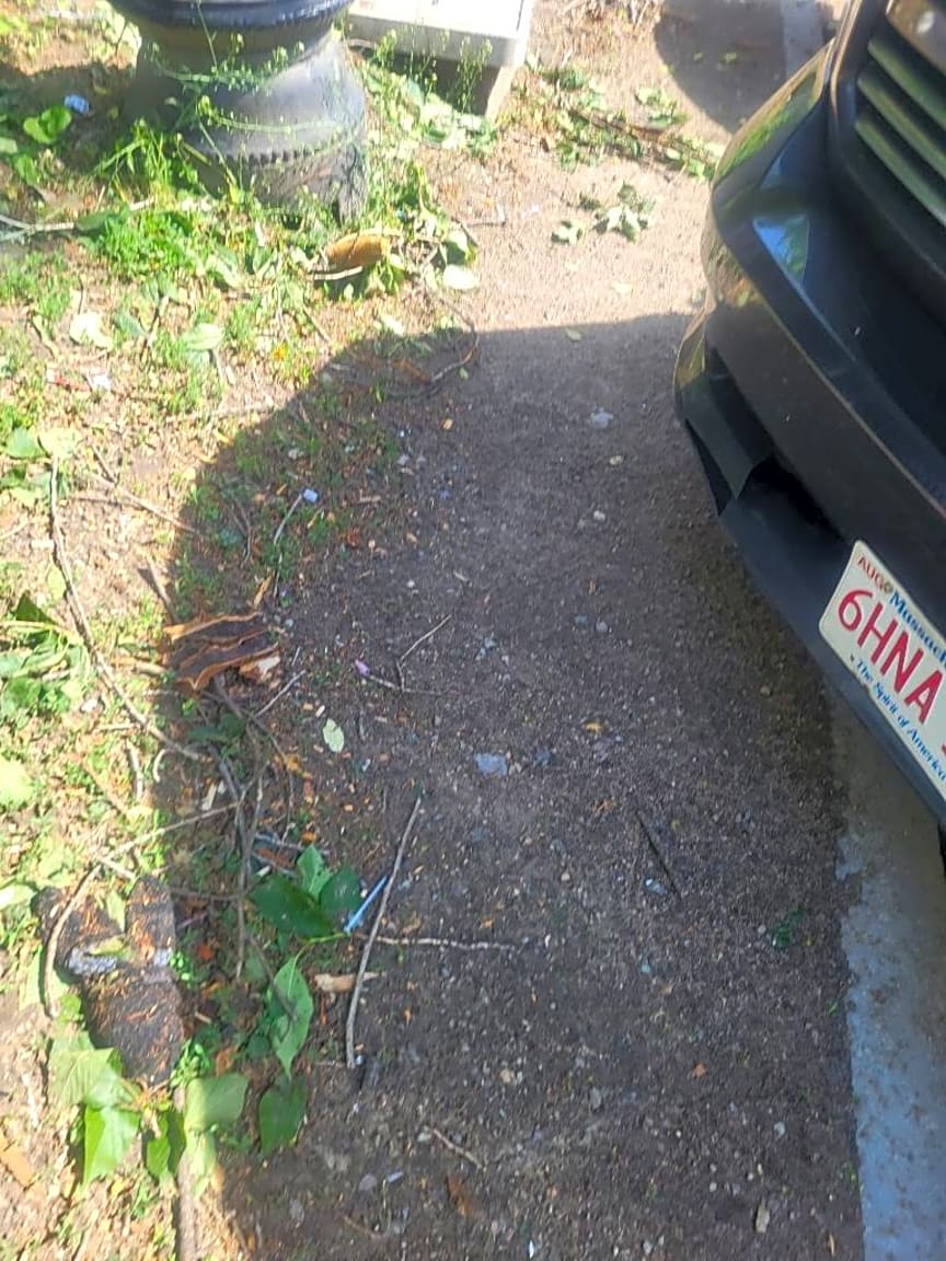 Image submitted with report