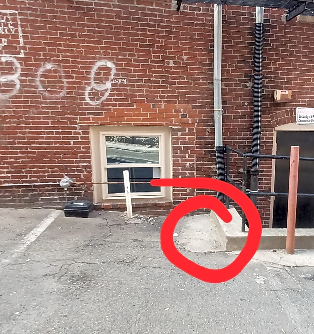 Image submitted with report
