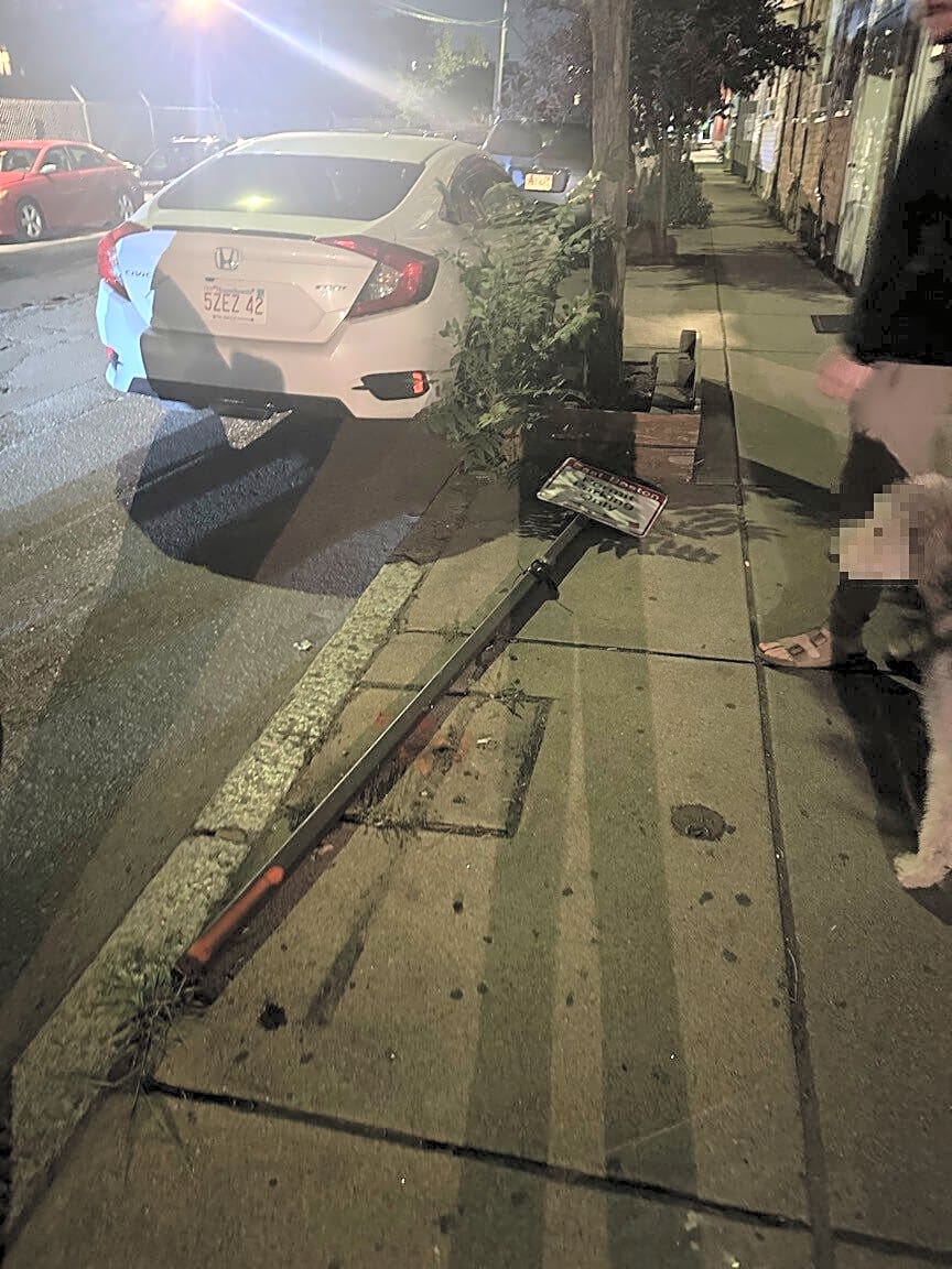 Image submitted with report