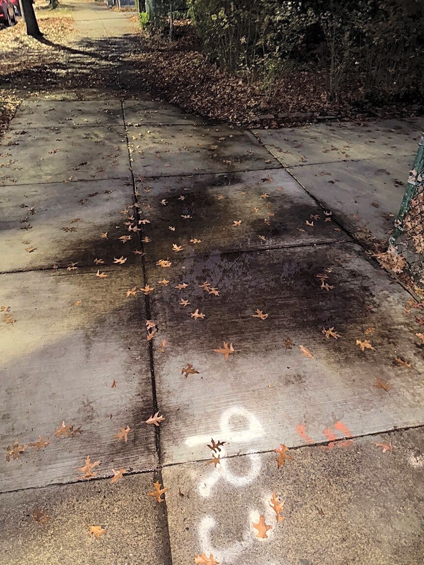 Image submitted with report