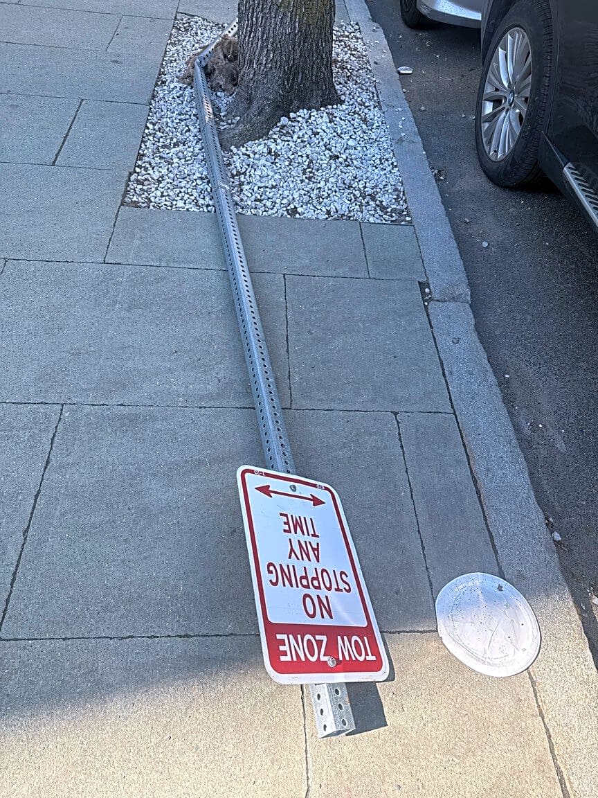 Image submitted with report