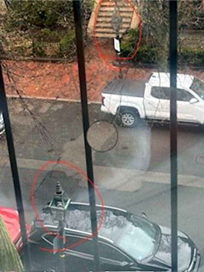 Image submitted with report