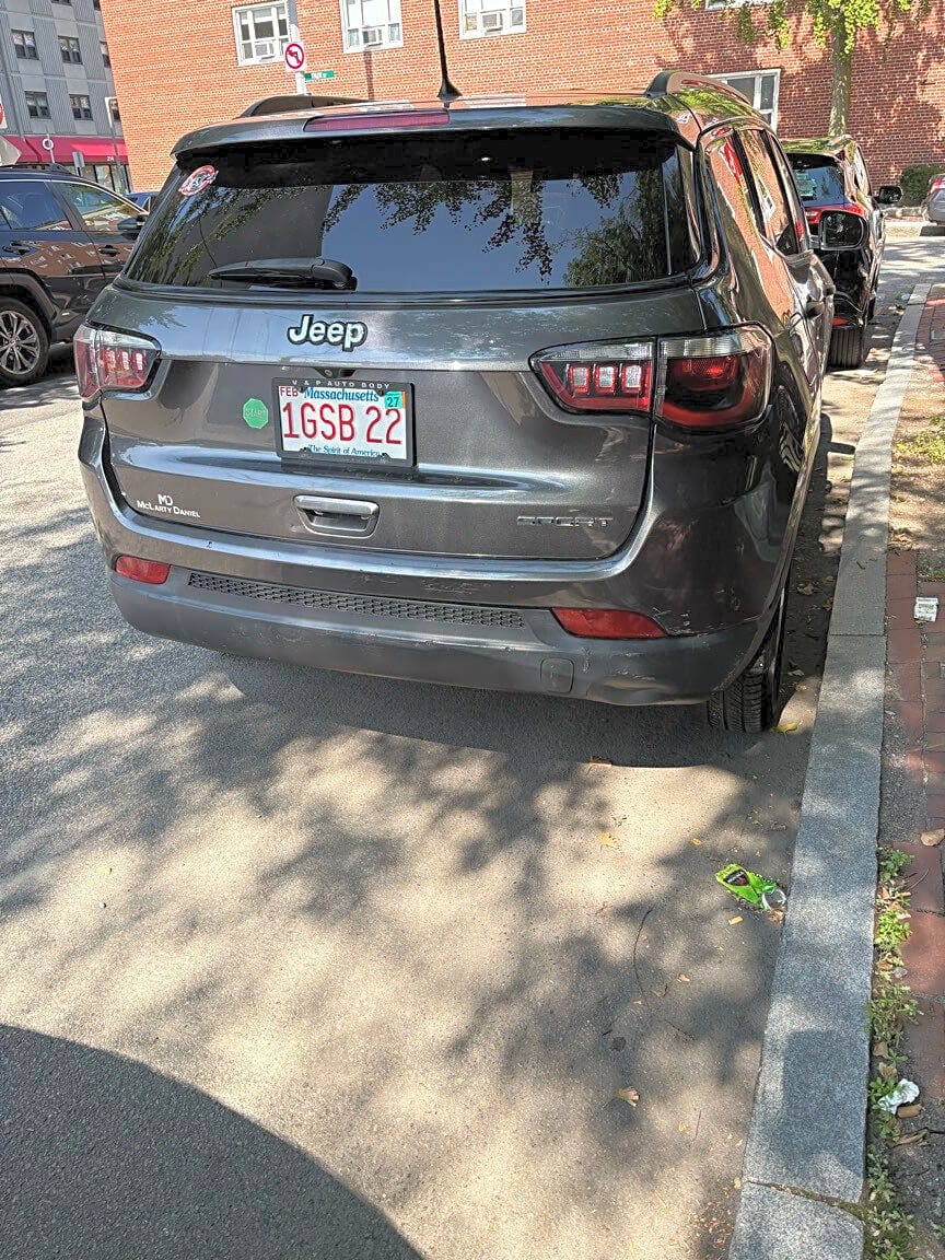 Image submitted with report