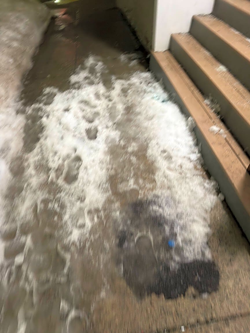 Image submitted with report