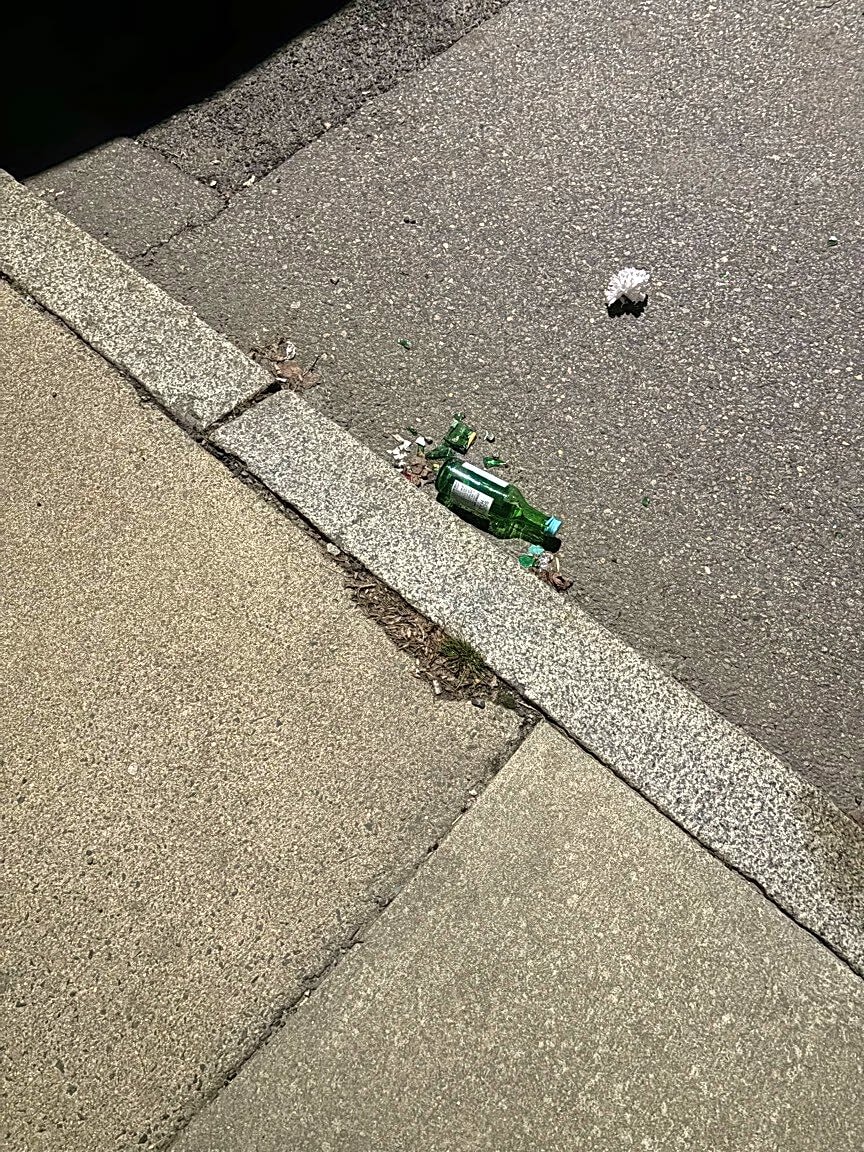 Image submitted with report