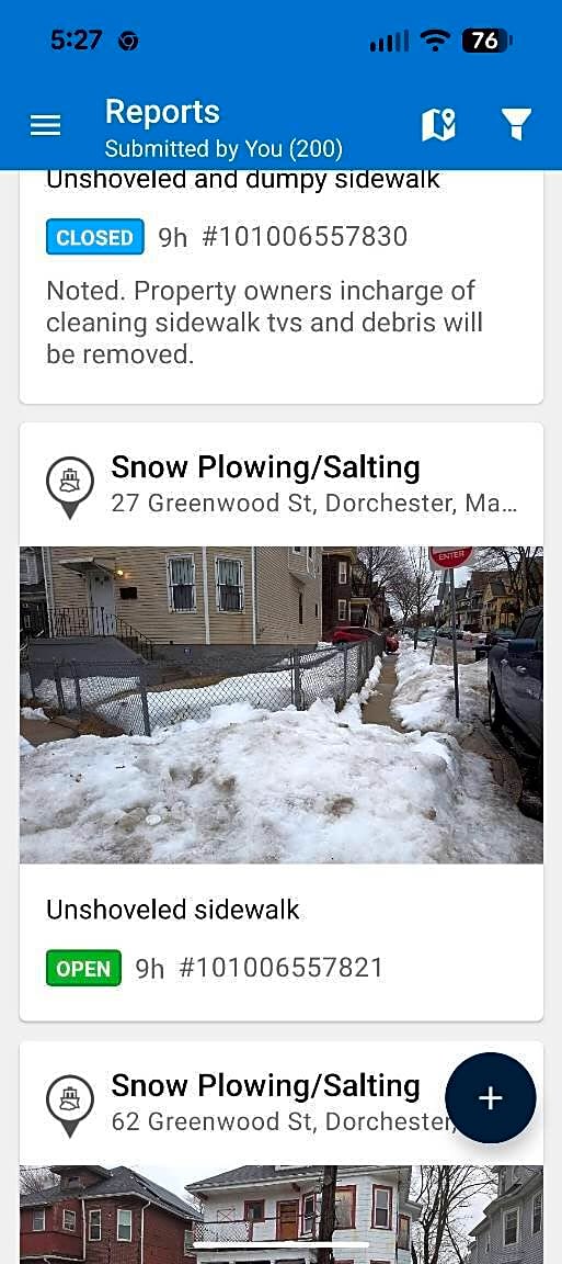 Image submitted with report