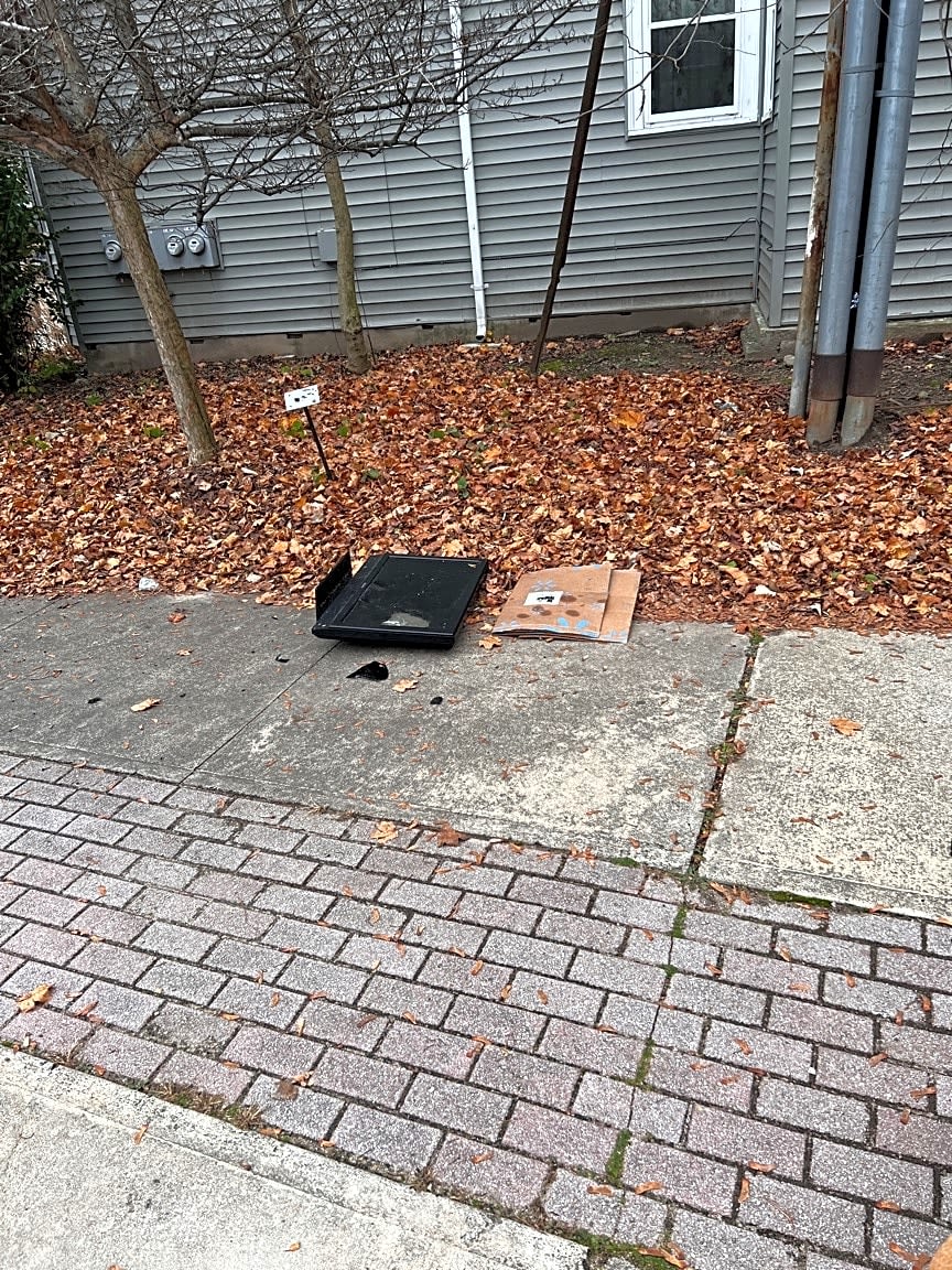 Image submitted with report