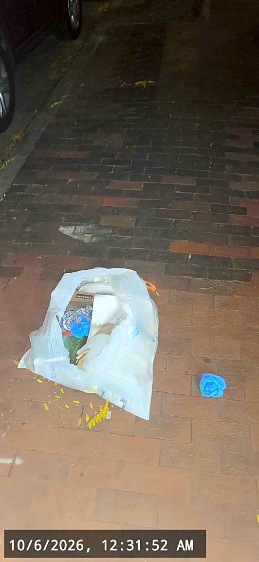 Image submitted with report