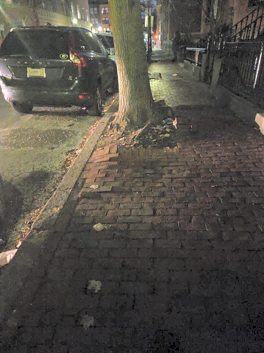 Image submitted with report