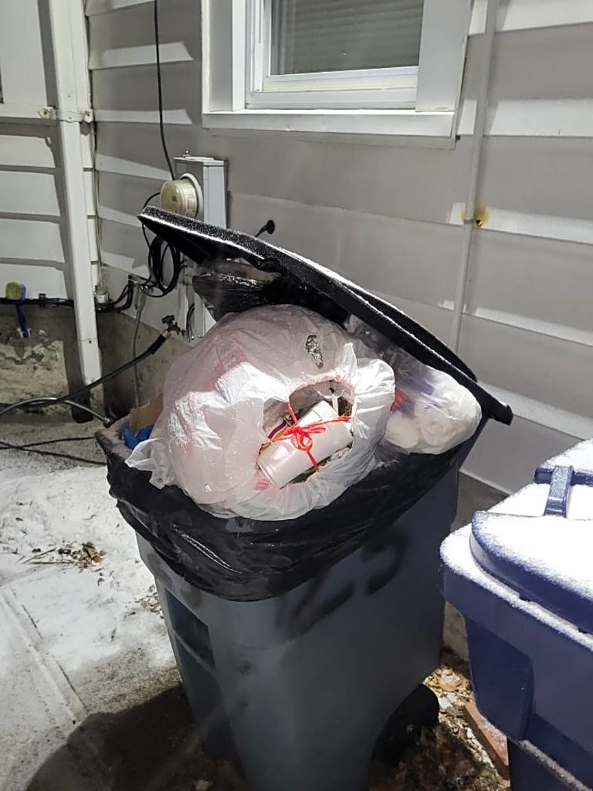 Image submitted with report