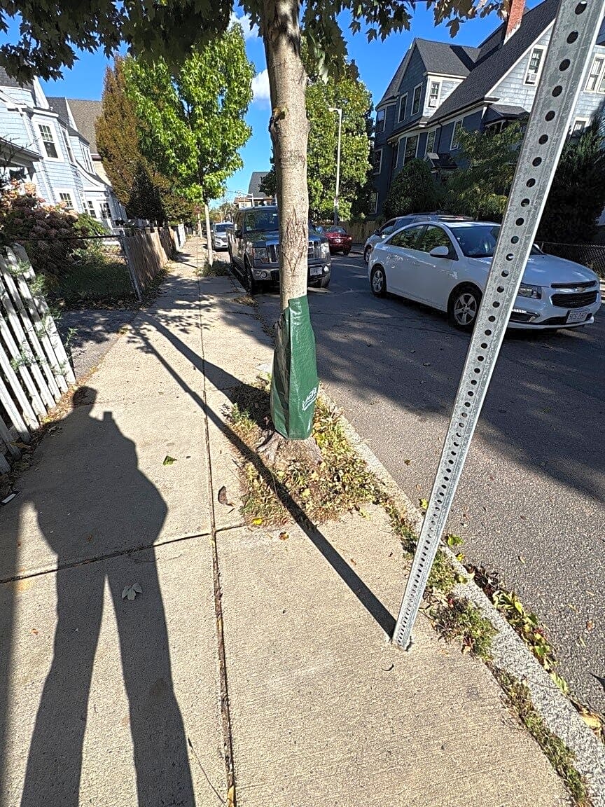 Image submitted with report